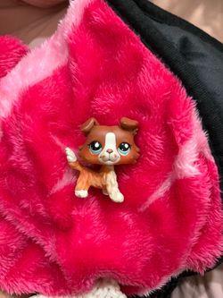 Littlest pet shop #1542