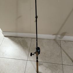 Daiwa Saltist Fishing Combo 