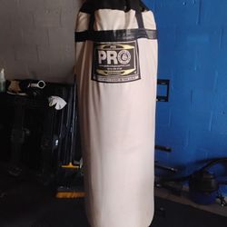 PRO BOXING 