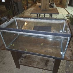 40 Gallon Wide Aquarium Tank
