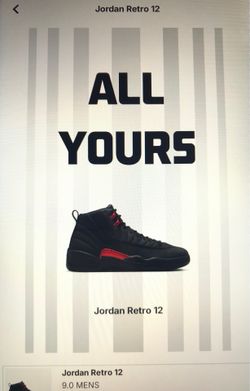 Jordan 12