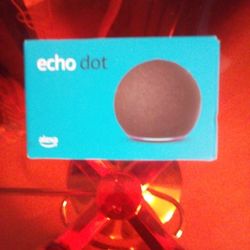 Alexa/Echo Dot Speaker