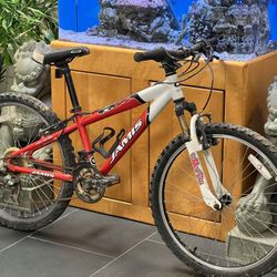 2010 Jamis Trail X3 Kids 24 Inch Mountain Bike 