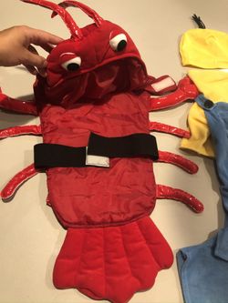 Halloween costume for baby