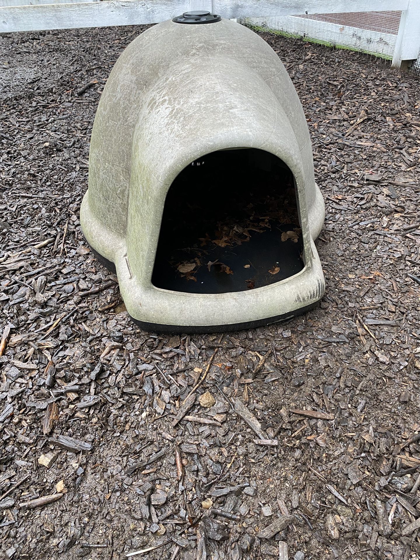 Dog House
