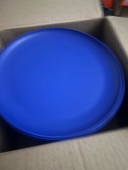 BRAND NEW IN BOX Case of 24 Blue plastic plates from Target. 10.5" diameter