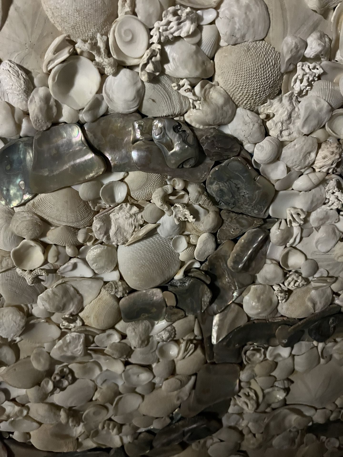 Ohm Symbol Sea Shell Mosaic 