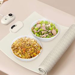 Electric Foldable Plate Warmer 