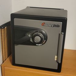 Sentry Combination Safe