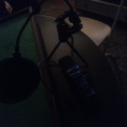 Microphone