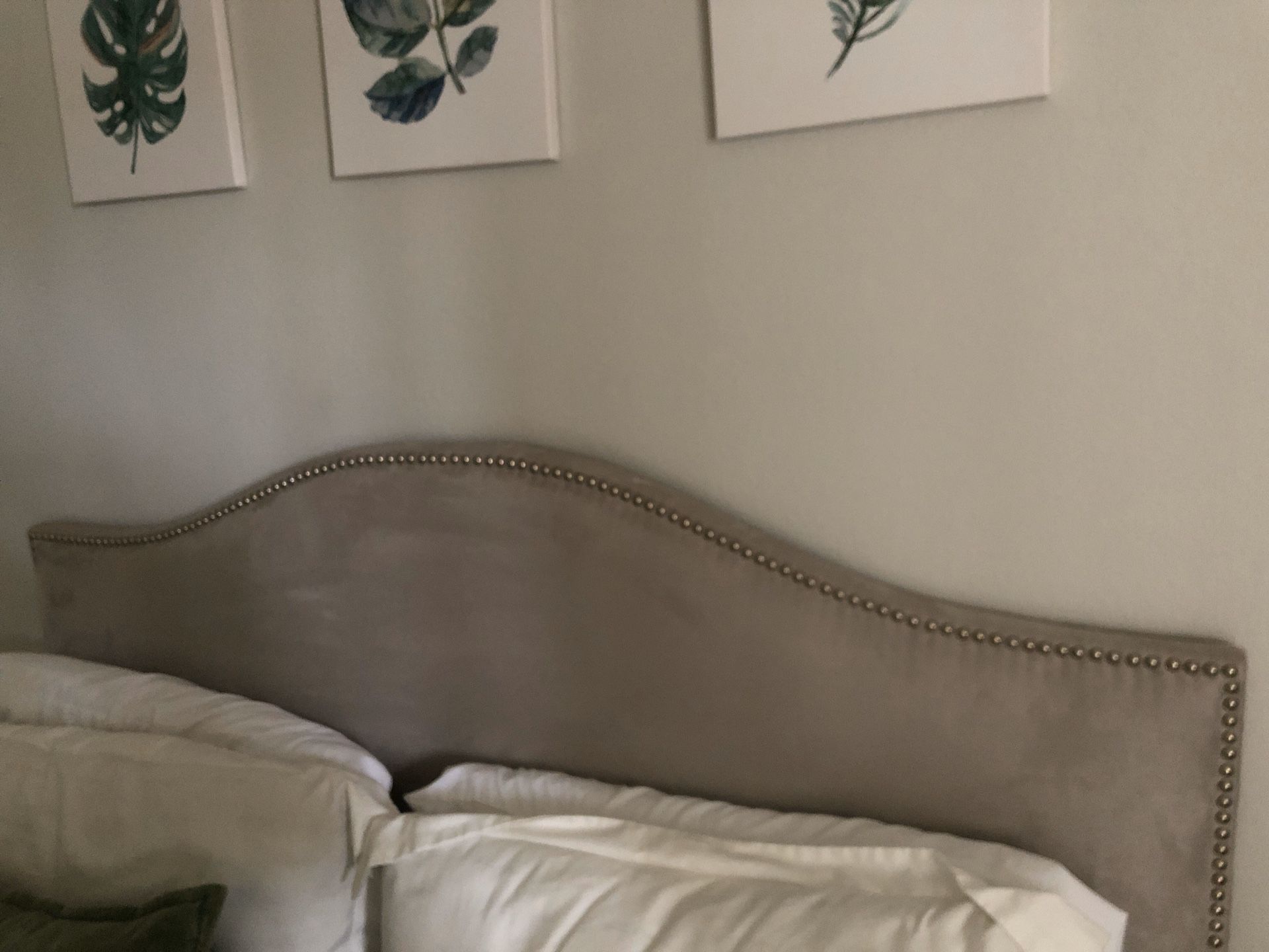 Queen Bed Frame - Grey velvet
