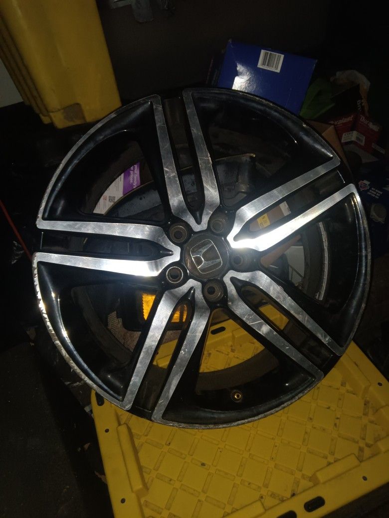Need Gone ASAP
