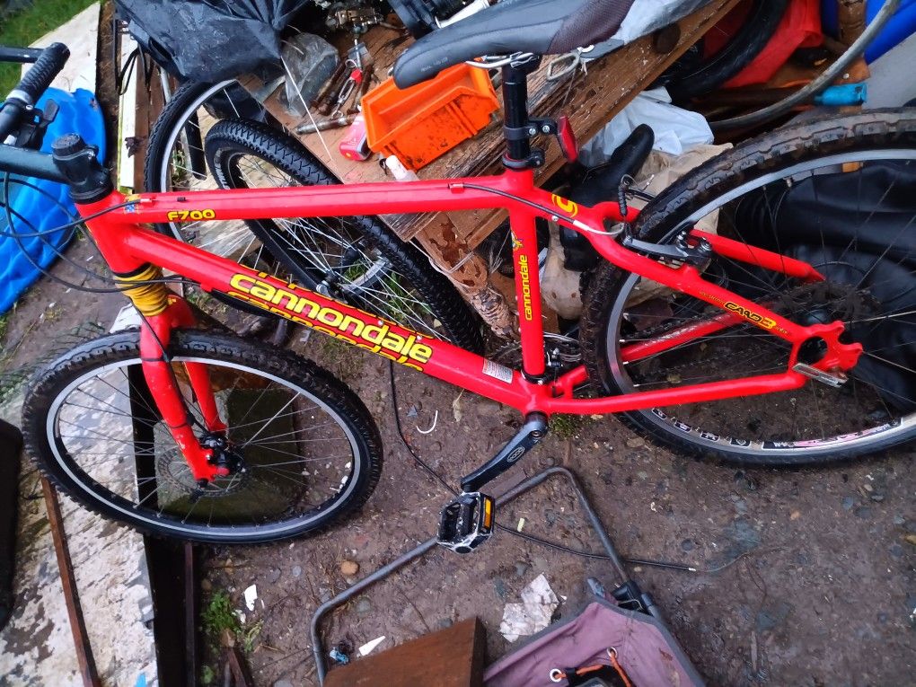Cannondale Moutain Bike