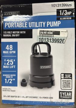 1/3 HP Submersible Aluminum Utility Pump