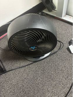 Fan