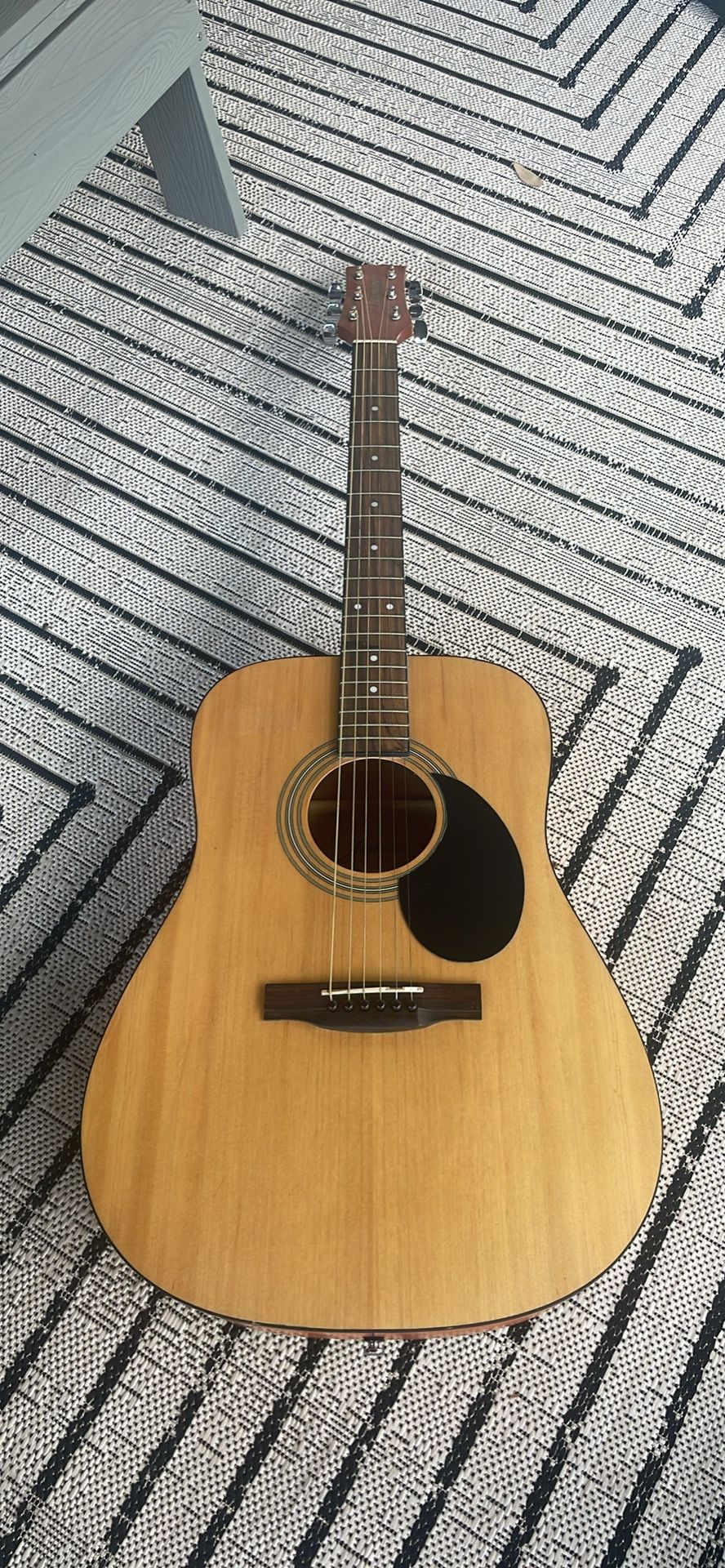 Brand New Acoustic Guitar