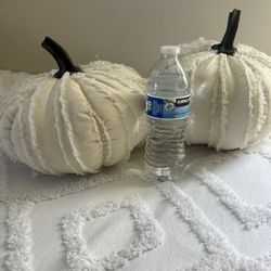 Set Of 2 Off White Pumpkin Decorate Pillows