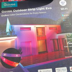 Govee Led Lights