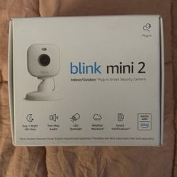 Blink Mini 2 