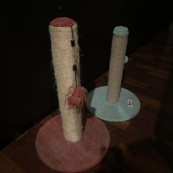 Cats Scraching Post