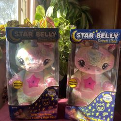 Star Belly 