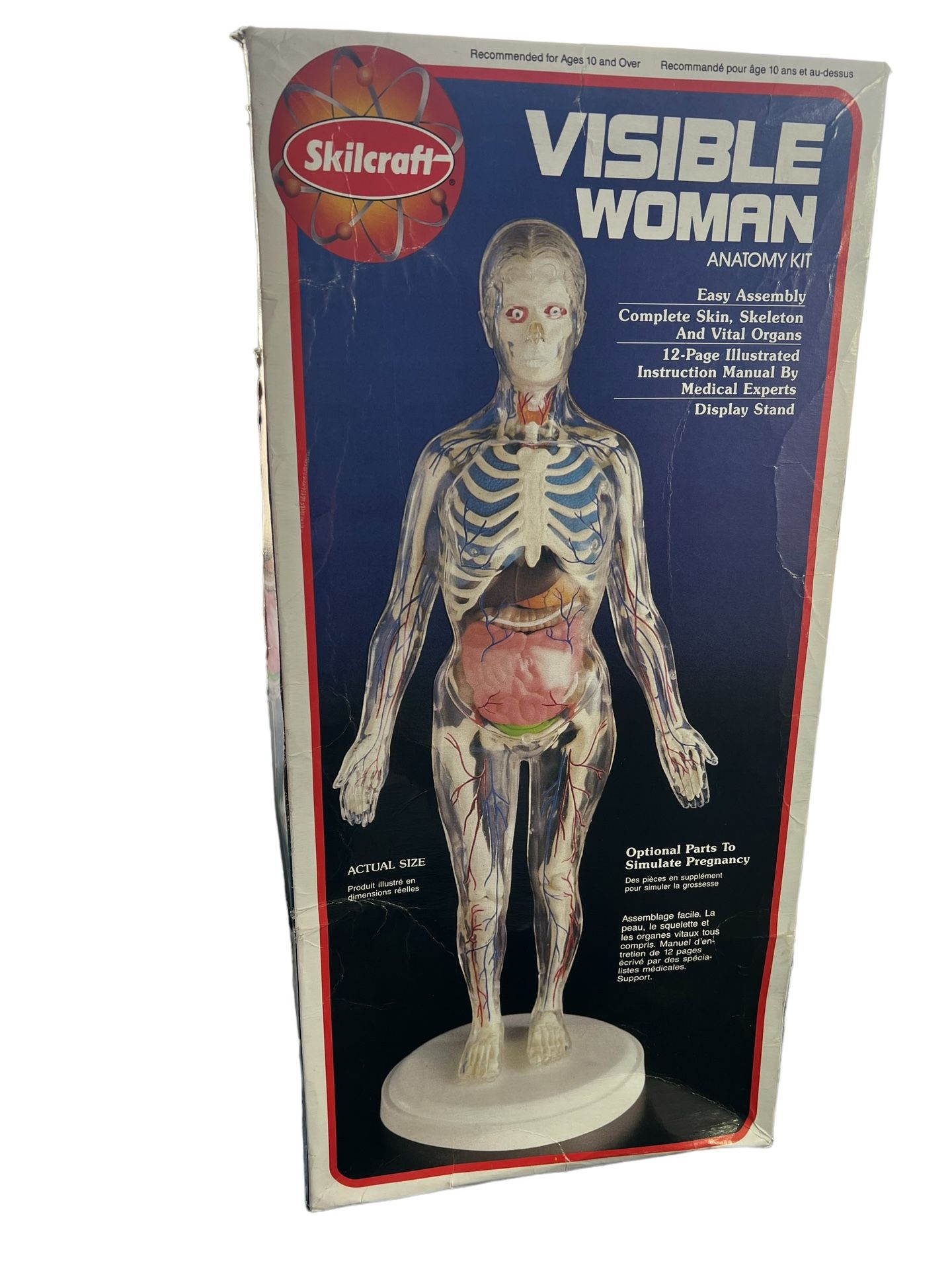 Skilcraft Visible Woman Anatomy Model Kit Original Box 15” Tall Never Assembled This Skilcraft Visible Woman Anatomy Model Kit is a must-have for an