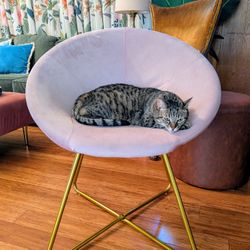Comfy Pink Saucer Chair