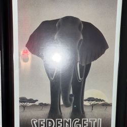 Serengeti Guided Tours