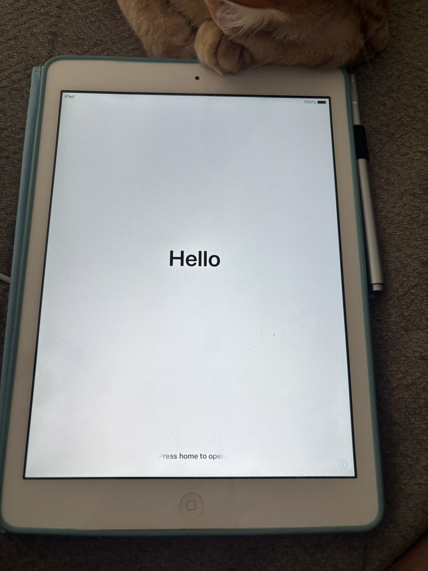 iPad Air