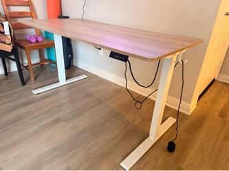 Electric Standing Desk + Chair (Excellent condition)