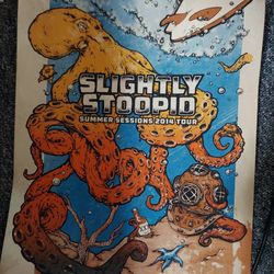 Slightly Stupid Concert Poster