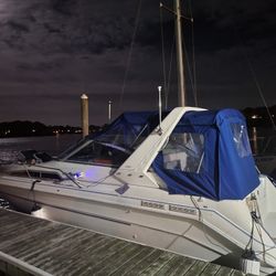 1993 Sundancer