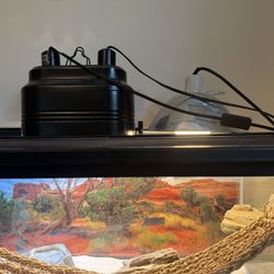 Bearded Dragon Enclosure - Terrarium/Aquarium