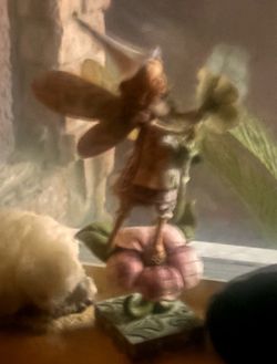 Fairy