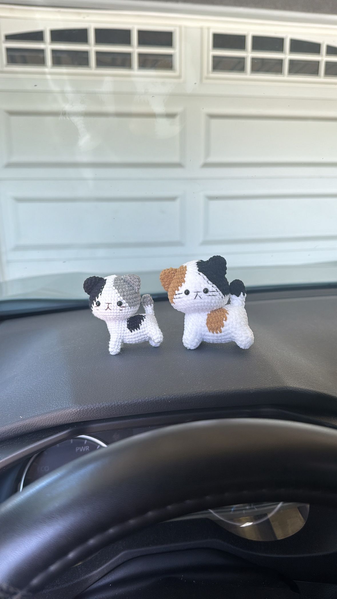 Adorable Kitten Set