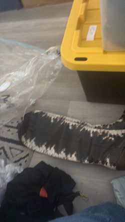Gianni Bini boots
