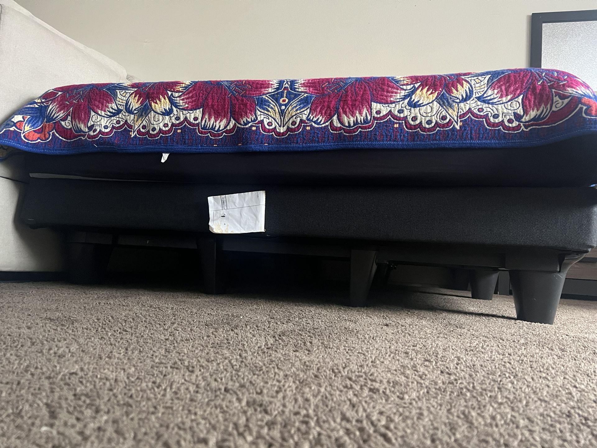 $20 Plastic Bed Frame 