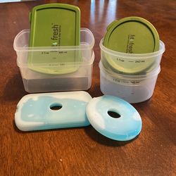 Fit Fresh Containers w/ Ice Packs