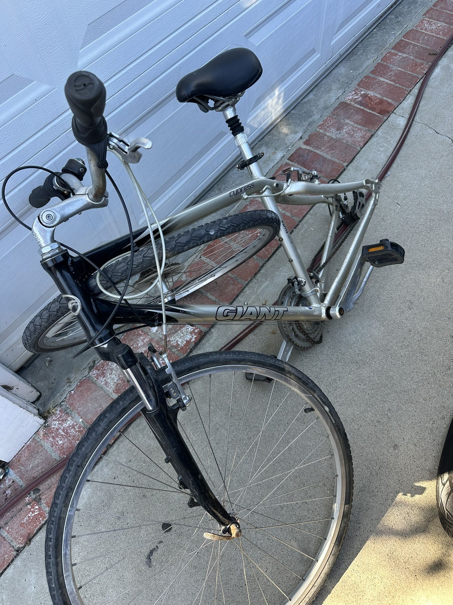 Giant Bike