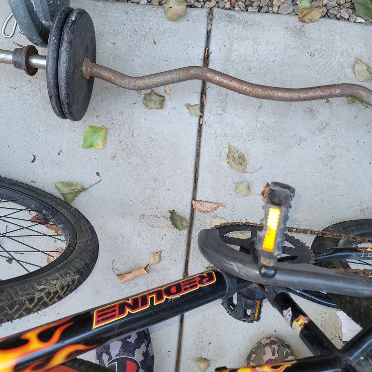 curl bar 50pd weights