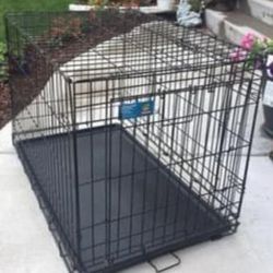 Lager Dog Carte For Sell Like New