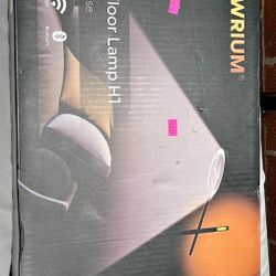 Smart Home Floor Lamp-H1 With APP Control & Stepless Dimmable