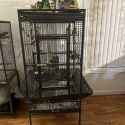 Bird Cage For Sale