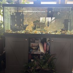 75 Inch Aquarium Tank With Stand