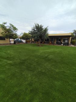 Turf and pavers