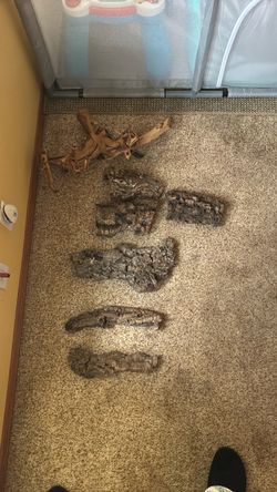 Reptile Tank Driftwood and Cork Bark Lot