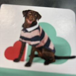 Dog Clothes 