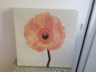 18x18 Canvas Prints 2