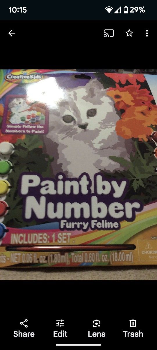 Paint By Number