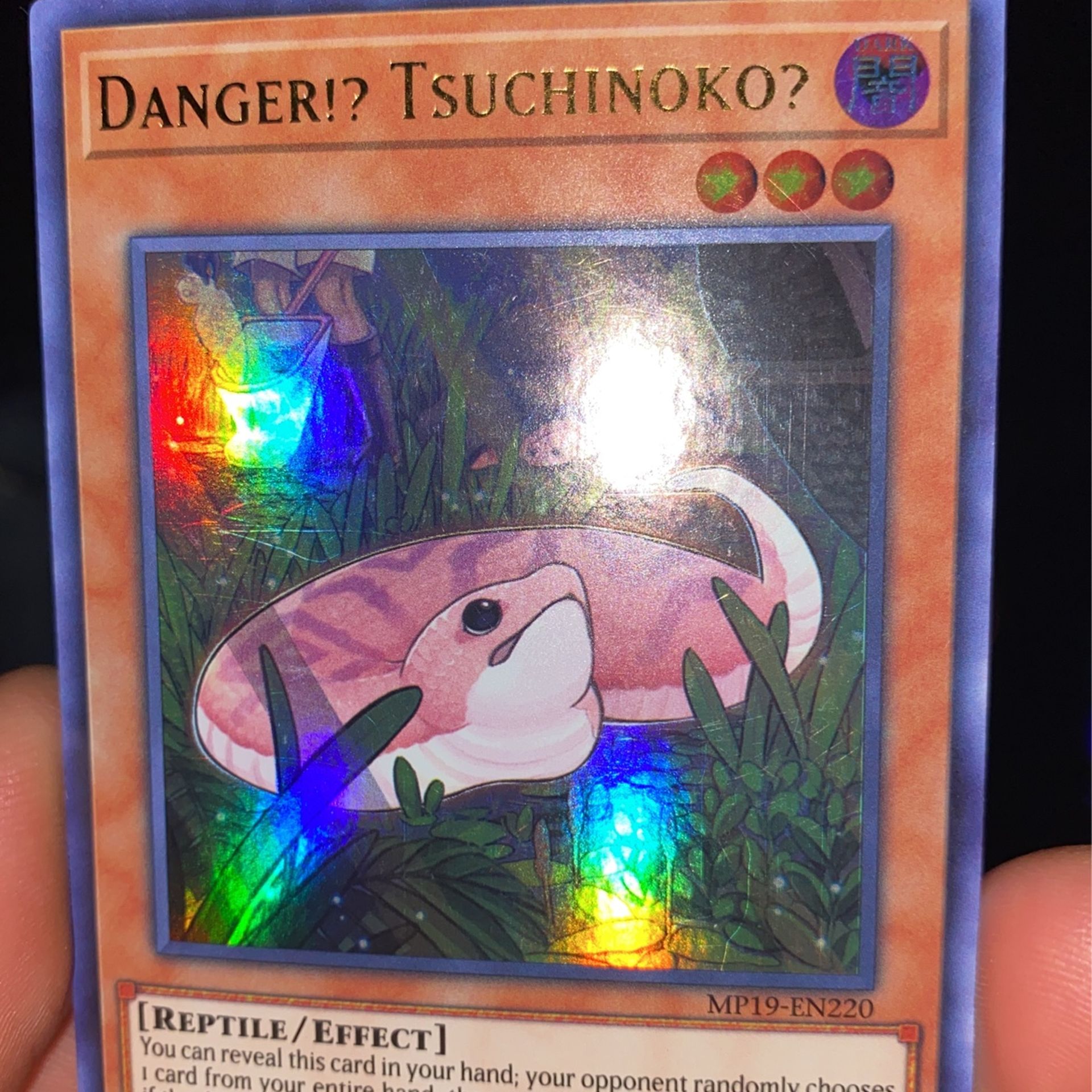 Danger Tsuchinoko Yugioh